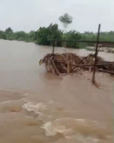 पाथरी तालुक्यात अतिवृष्टीचे थैमान शेत पिकांचे पशुधन व मालमत्तेचे नुकसान