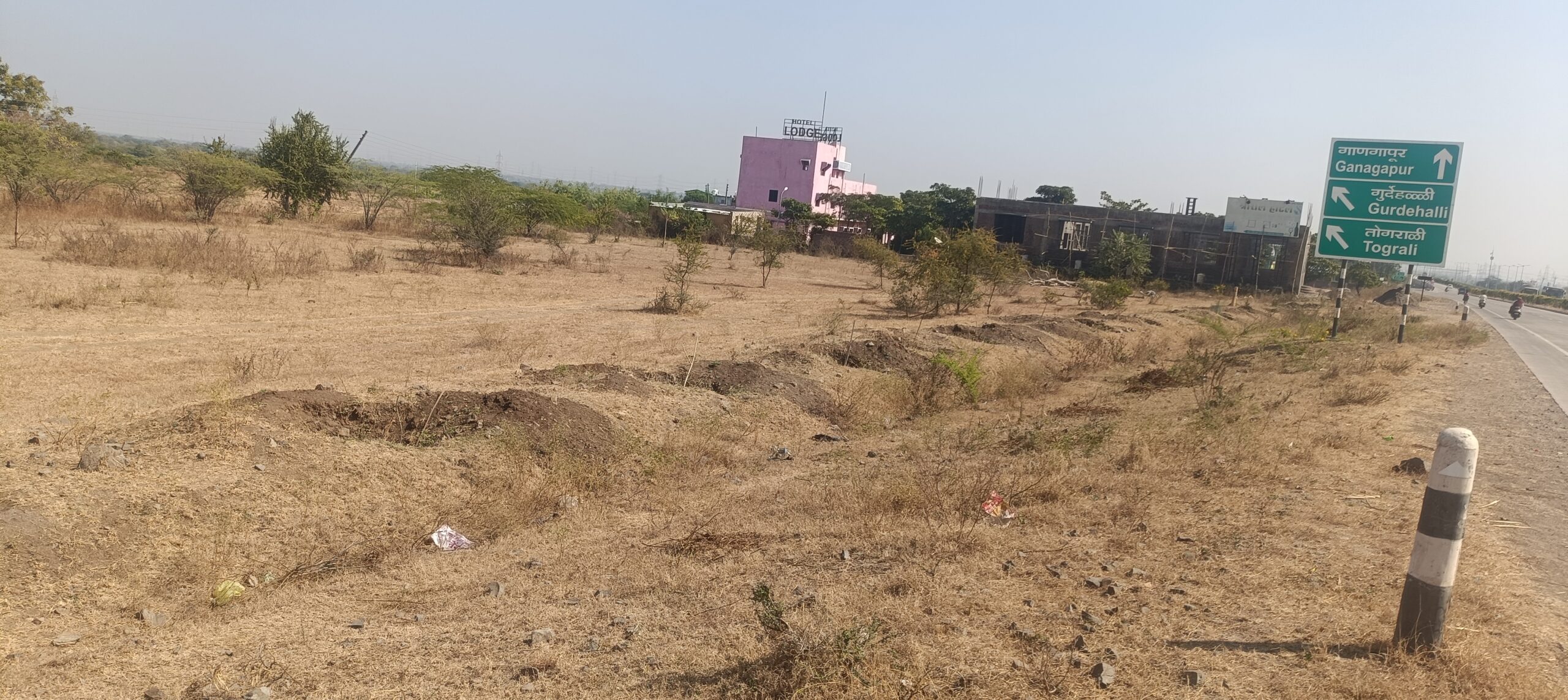 अक्कलकोट – सोलापूर राष्ट्रीय महामार्गालगतच्या वृक्ष संवर्धनाकडे भारतीय राष्ट्रीय राजमार्ग प्राधिकरणाचे  दुर्लक्ष !