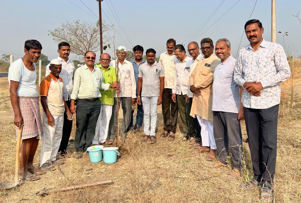 श्री सिद्धेश्वर फाउंडेशनतर्फे वृक्षारोपण संपन्न