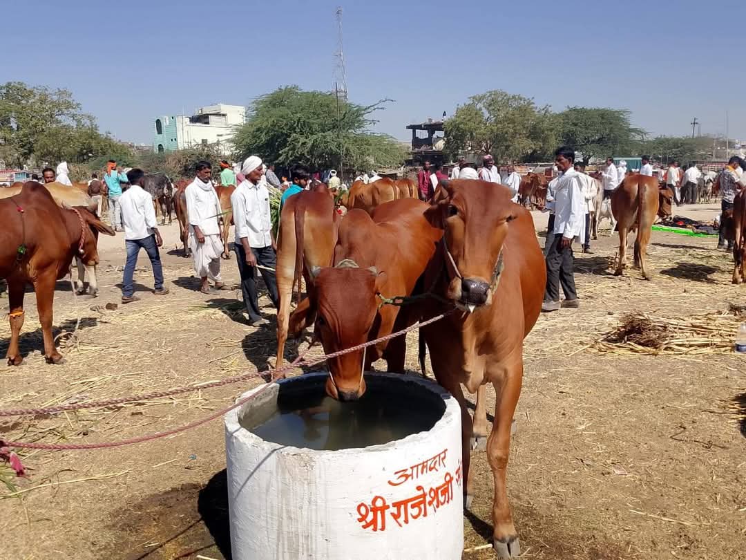 आमदार राजेश पवार यांच्या स्वखर्चातून नायगाव बैलबाजारात पाण्याच्या कुंड्या