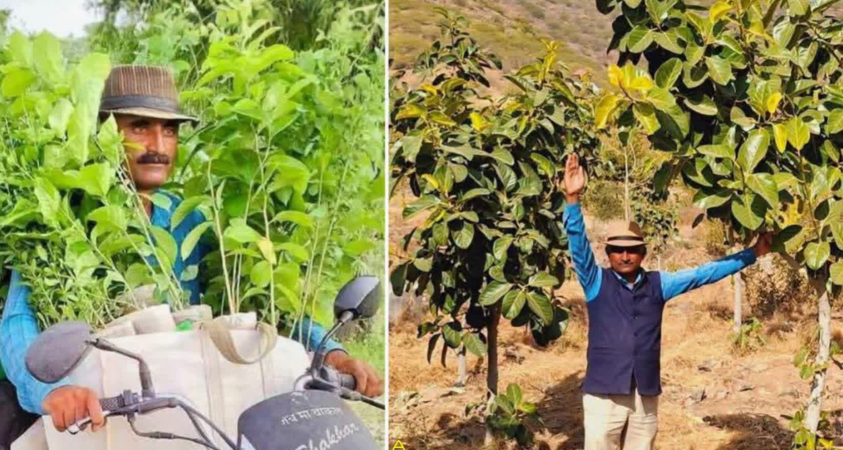 बाडमेरचे शिक्षक भेराराम भाखर  ‘पौधे वाले मास्टर’