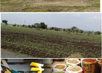 अक्कलकोट तालुक्यात पावसाने दडी मारल्याने शेतकरी चिंताग्रस्त ! महागाईमुळे जनता बेजार ! 